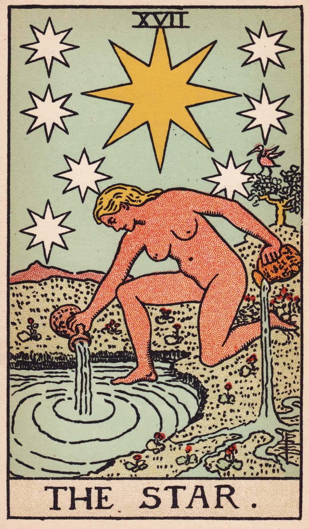The Star